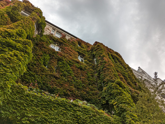 Ein mit der Hauptkamera des Pixel 6 Pro gemachtes Bild (Bild: Tobias Költzsch/Golem.de)